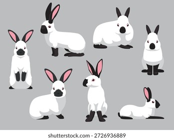 Conejo Himalaya Varias Poses Personaje de Dibujos Animados