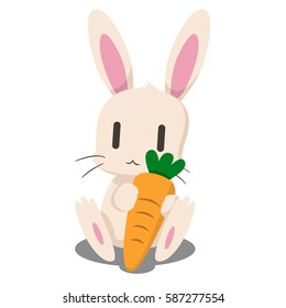 rabbit hold carrot, character design, animal cartoon, vector illustration