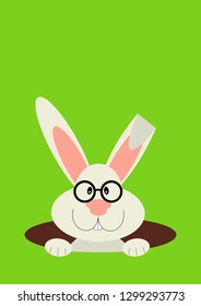 a rabbit in hole. Easter bunny, vector illustration