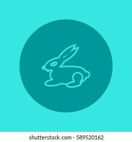 rabbit icon