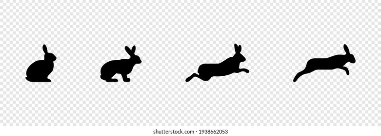 Rabbit Icon. Hare. Jump Sequence. Bunny