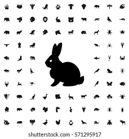 rabbit icon illustration isolated vector sign symbol