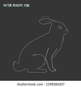 Rabbit icon line element. Vector illustration of rabbit icon line isolated on clean background for your web mobile app logo design.