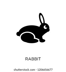 Rabbit icon. Rabbit symbol design from Animals collection. Simple element vector illustration on white background.