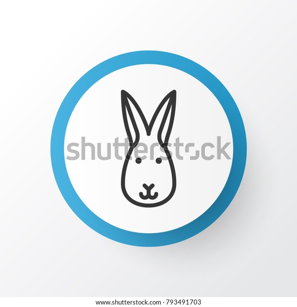 Rabbit Icon Symbol Premium Quality Isolated Stock Vector (Royalty Free ...