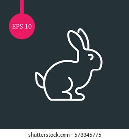 Rabbit Icon Vector