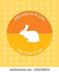 Rabbit Icon for Web. Application, Software & Graphic Design.