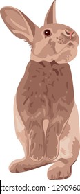 Rabbit illustration - brown rabbit standing