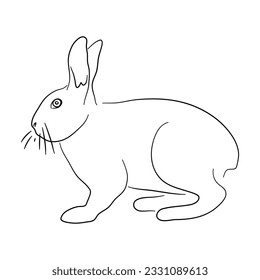Rabbit illustration in doodle style. Vector isolated on a white background. 