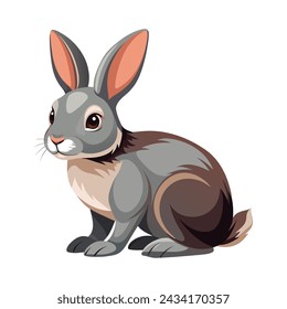 Rabbit illustration on White Background