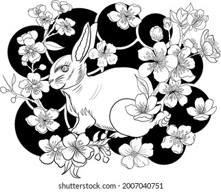 Rabbit illustration for printing on T-shirt.Year of rabbit.Chinese new year zodiac sign of set.Chinese zodiac animal signs and Cherry blossom vector on background.