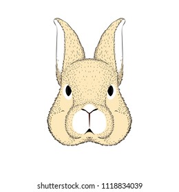 rabbit illustration. Rabbit Vector