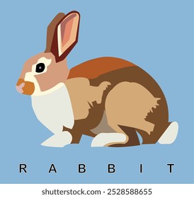 "RABBIT"- illustrtaor , cartoon image of rabbit.