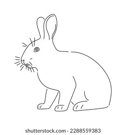Rabbit ink sketch. Vector illustration.