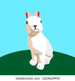 Rabbit isolated on blue background. Easter bunny vector illustration.