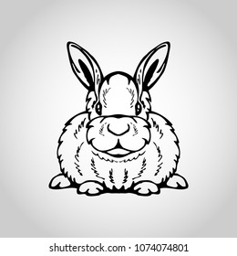 Rabbit isolated on white background, Vector illustration.