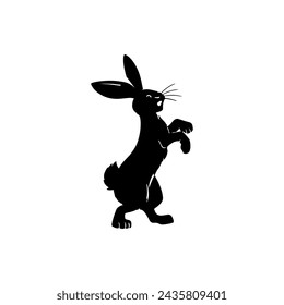 Rabbit isolated on white background 