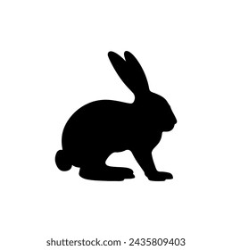 Rabbit isolated on white background 