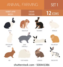 Rabbit, lapin breed icon set. Flat design. Vector illustration