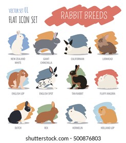 Rabbit, lapin breed icon set. Flat design. Vector illustration