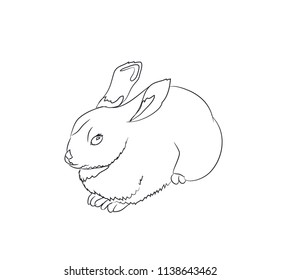 rabbit lies, lines, vector, white background