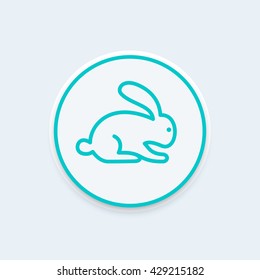 rabbit line icon, vector illustration