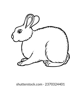 rabbit line vector illustration,isolated on white background,top view