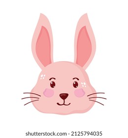 rabbit little head animal isolated