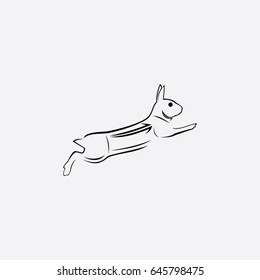 rabbit logo, icon animal