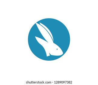 Rabbit Logo template vector icon design - Vector