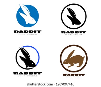 Rabbit Logo template vector icon design - Vector
