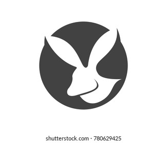 Rabbit Logo template vector icon design
