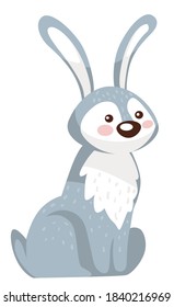 Rabbit with long ears and furry coat, isolated bunny personage sitting still. Hare pet or zoo dweller. Wildlife and wilderness, preservation of species. Funny bunny with fluffy face, vector in flat