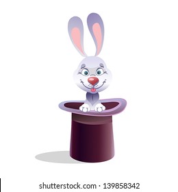 rabbit looking from a hat