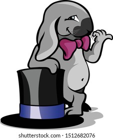 Rabbit the magician with black cylinder hat