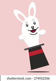 Rabbit and Magician Hat