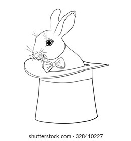 Rabbit in magician hat