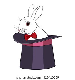Rabbit in magician hat