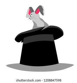 Rabbit in a magician's hat