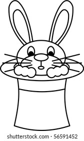 Rabbit in a Magicians Hat