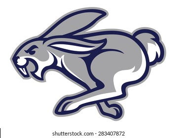 Rabbit Mascot