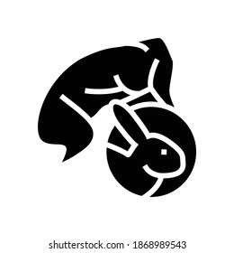rabbit meat carcass glyph icon vector. rabbit meat carcass sign. isolated contour symbol black illustration