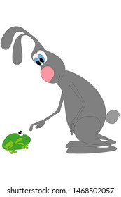 rabbit meets a frog and wants to touch it