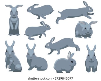 Conejo Mini Rex Varias Poses Carácter de dibujos animados