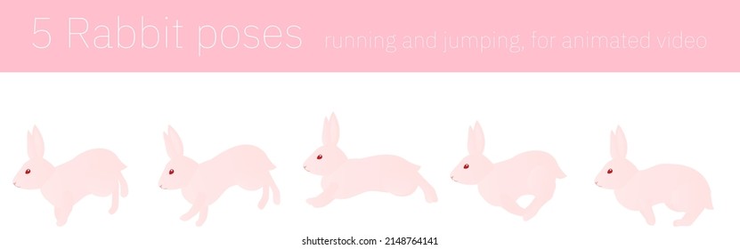 Rabbit movements for animation, running and jumping movements