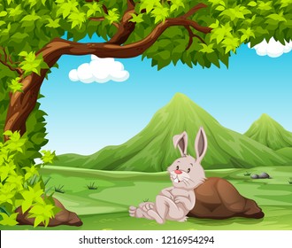 Un conejo en la ilustración de la naturaleza