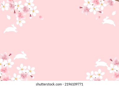 Rabbit New Year's card cherry blossom background