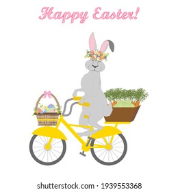 Conejo en bicicleta con ilustración vectorial de zanahorias en el fondo blanco.