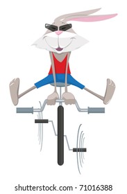 Rabbit on a bicycle on white background