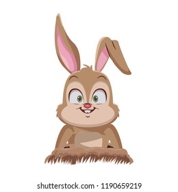 Rabbit on ground cartoon